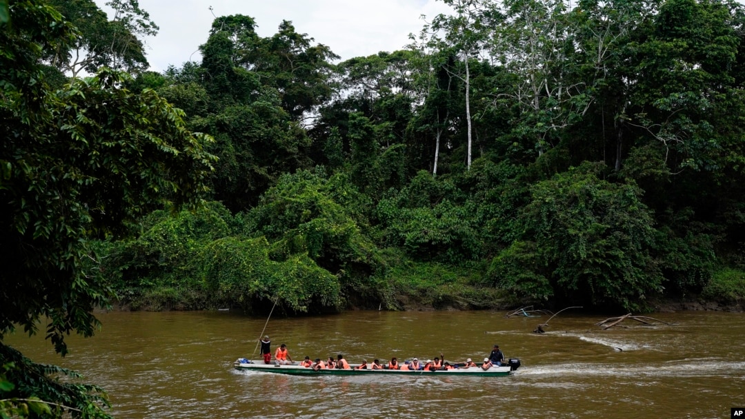 Jungel Rep Sex - Hundreds of Migrants Face Sex Attacks in Darien Gap, Says MSF