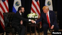 Donald Trump, sostiene una reunión bilateral con el presidente de El Salvador, Nayib Bukele, en el marco de la 74ª sesión de la Asamblea General de las Naciones Unidas (AGNU) en la ciudad de Nueva York, Nueva York, Estados Unidos, el 25 de septiembre de 2019.