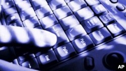Egypt Begins Registration of 1st Arabic Language Internet Domains