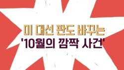 미 대선 판도 바꾸는 '10월의 깜짝 사건'