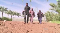 Red Cross Distributes Almond Trees to Gaza