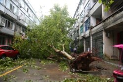 An uprooted tree is seen on a street after Typhoon Lekima hit Taizhou, Zhejiang province, China, Aug. 10, 2019.