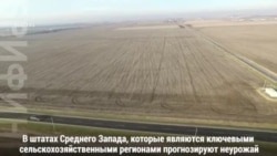 Хватит ли в США еды?