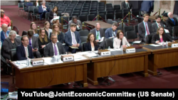 美国国会联合经济委员会举行题为“不断扩大的全球诈骗经济”的听证会。(2026年3月25日)