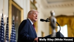 도널드 트럼프 대통령