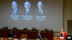 Los tres ganadores del premio Nobel 2013 de Medicina y Fisiología son presentados en Estocolmo, Suecia.