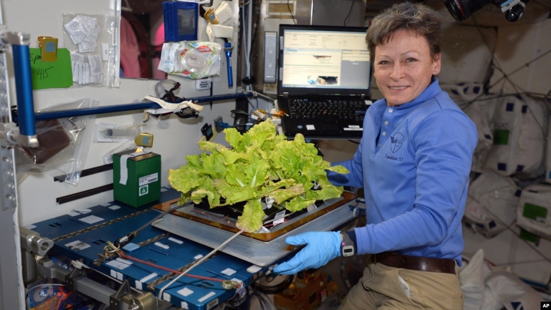 Astronot AS Peggy Whitson saat berada di Stasiun Antariksa Internasional (ISS) pada 30 Mei lalu (foto: dok). 