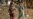COVID-19, Insecurity Slow Afghan Refugee Returns From Pakistan and Iran