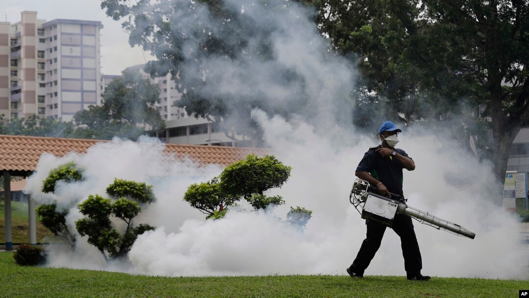 Seorang petugas melakukan penyemprotan pestisida di lokasi ditemukannya kasus virus Zika di Singapura (1/9). (AP/Wong Maye-E)