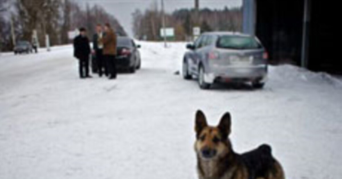 Oshxona teleserialidan erotik suratlar