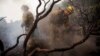 Wildfire Threatens San Francisco Power Grid