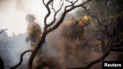 Para petugas pemadam kebakaran berusaha memadamkan api yang melanda pinggiran barat taman nasional Yosemite di negara bagian California (24/8). 