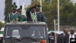 Le président Goodluck Jonathan le jour de son investiture