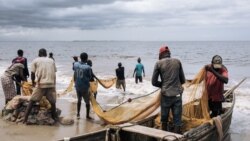 Sango ya Mokili Lelo: Basoda ya Angola bazali kokanga balobi mbisi ya RDC na N'Siamfumu, na Moanda