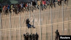 Un garde frontière espagnol fait descendre un migrant, alors que d'autres migrants essaient de passer la frontière, entre le Maroc et l'Espagne, dans l'enclave de Melilla, le 15 octobre 2014.