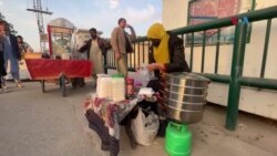 د حقوقو افغانه محصله چې اوس پيښور کې منتو پلوري
