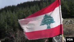 The cedar is Lebanon’s national symbol, the center piece of the nation’s flag and shield.