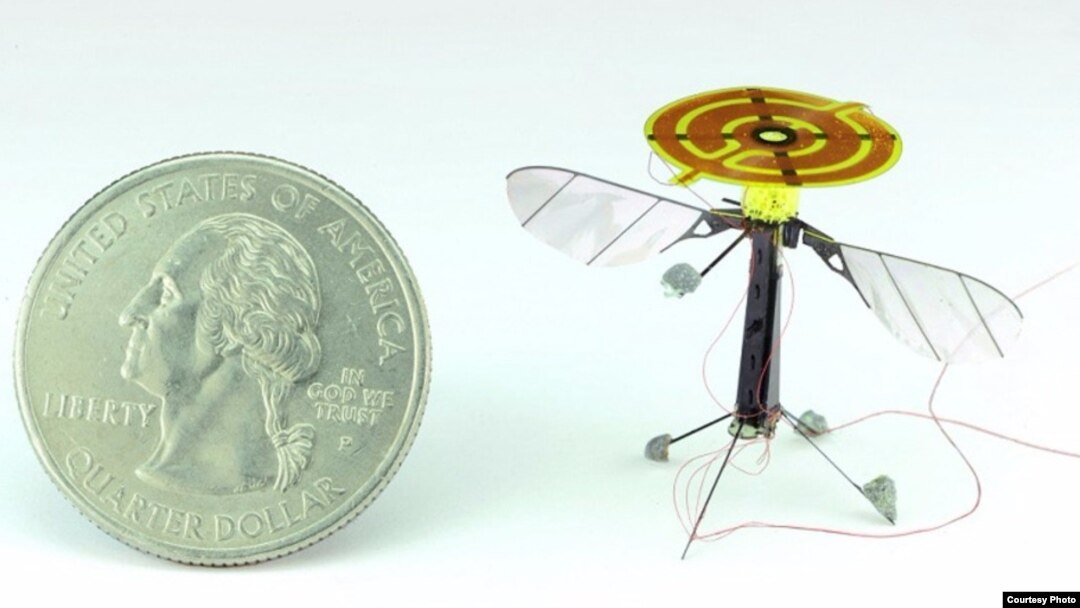 A RoboBee is seen next to a quarter. The static electric electrode is seen on the top of the tiny drone. (AAAS)