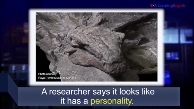 News Words - VOA