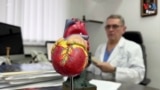 Thumbnail-TVPKG- WEB TV FACT CHECK Organ Harvesting 