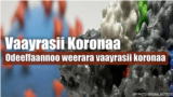 Varayrasii Koronaa