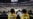 中国官方与球迷对NBA表现矛盾