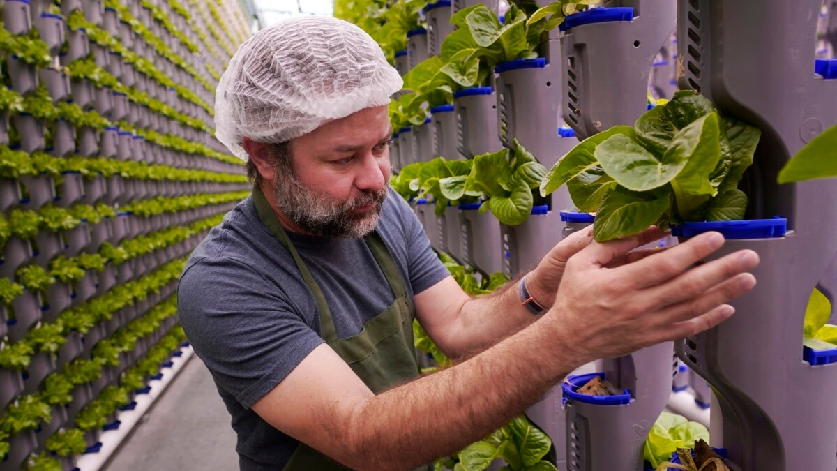 Indoor Food Growing Operations Face Uncertain Future