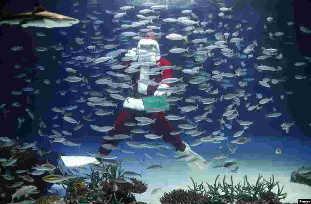 A diver dressed in a Santa Claus costume feeds fish at the Sunshine Aquarium in Tokyo, Japan.