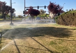 Sprinklers water grass near a street corner on April 9, 2021, in a neighborhood located in northwest Las Vegas.