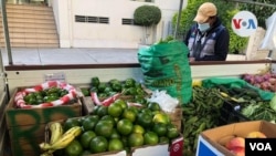 Una de las recientes medidas económicas anunciadas por la presidenta interina Jeanine Áñez es el bono de la “canasta familiar”. [Foto: Fabiola Chambi, VOA]