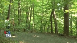 زندگی یک گزارشگر محیط زیست؛ گپ و گفت سیامک دهقانپور و بهمن سقایی