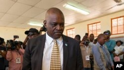 Udaba lukaMasisi esekela ukwethulwa kwezijeziso zeZimbabwe siluphiwa nguMartin Ngwenya