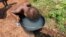 FILE - A child drinks from a bucket in the catholic youth center Don Bosco in Bangui where thousands of internally displaced people, including hundreds of children, live, according to calculations undertaken by UNICEF.