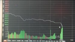 China Markets Suspended As Stocks Plunge; Fears Grow Over Slowdown