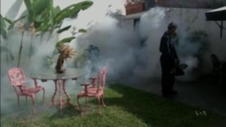 Zika Likely to Get Worse Before It Gets Better