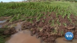 Zimbabwe’s Water Supply Threatened by Wetland Construction