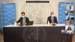 ԱՀԿ-ի Եվրոպայի տնօրեն Հանս Կլյուգեն նախազգուշացնում է մինչև դեկտեմբերի 1-ը Եվրոպայում Covid-19- ի մահացության դեպքերի ևս 236,000 մասին