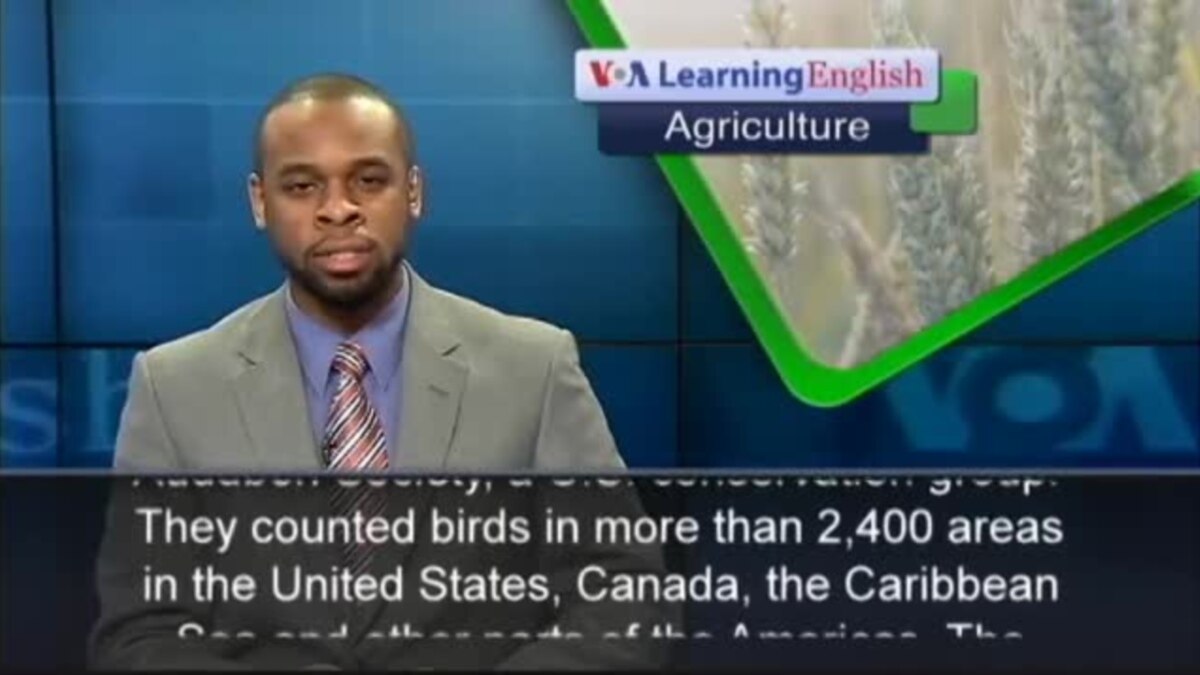 Us Study Shows Climate Change Affecting Bird Migration