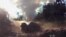 A bomb dropped by a Burmese warplane explodes