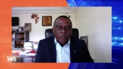 Cheick Tidiane Gadio: Africains et Afro-Américains, même destin