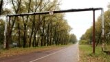 Уже майже рік, як поновили туристичні відвідування зони відчуження