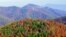 Fall foliage in Virginia's Shenandoah National Park (National Park Service)