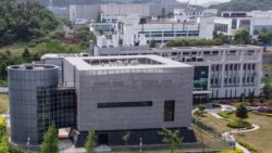 Wuhan Institute of Virology, in Wuhan, China,