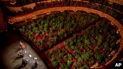 Musicians rehearse at the Gran Teatre del Liceu in Barcelona, Spain, Monday, June 22, 2020. 