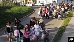 Gypsies march with their possessions through the village of Gyongyospata, eastern Hungary, April 22, 2011