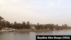 Le fleuve Casamance, au Sénégal, le 21 février 2018. (VOA/Seydina Aba Gueye)