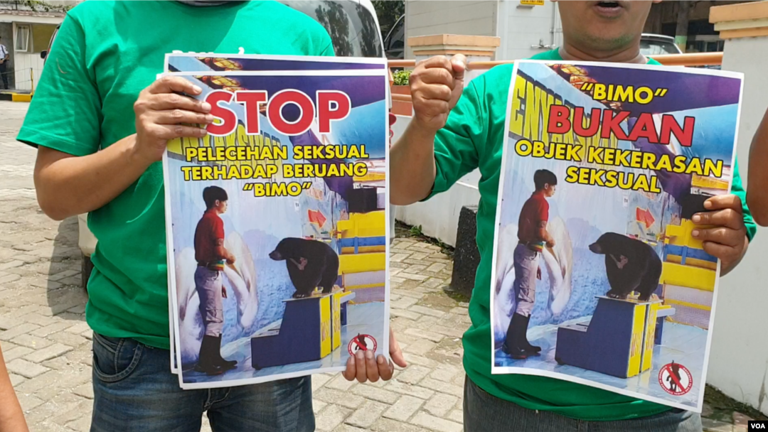 Masyarakat Anti Sirkus Hewan Indonesia, Kamis (14/2) unjuk rasa menuntut sirkus keliling Wersut Seguni Indonesia (WSI) di Cimahi ditutup karena memegang-megang alat kelamin beruang madu sebagai bagian dari pertunjukan. (VOA/Rio Tuasikal)