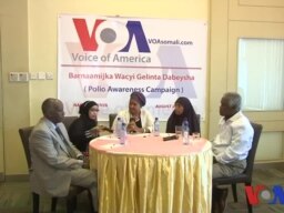 Dood: Wacyeglinta Dabeysha