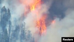 Flames rise from the 416 Fire near Durango, Colorado, in this June 5, 2018 handout photo.