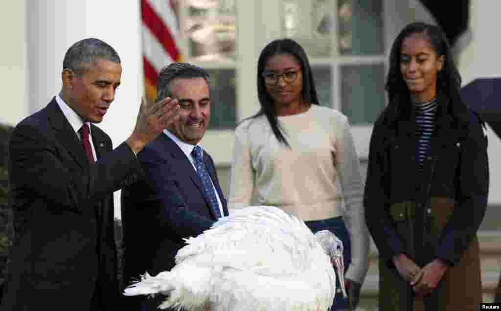 Presiden AS Barack Obama mengampuni kalkun, sebuah ritual tahunan selama Hari Bersyukur atau Thanksgiving di Gedung Putih (25/11), disaksikan putri-putrinya Malia (kanan) dan Sasha. ​(Reuters/Gary Cameron)